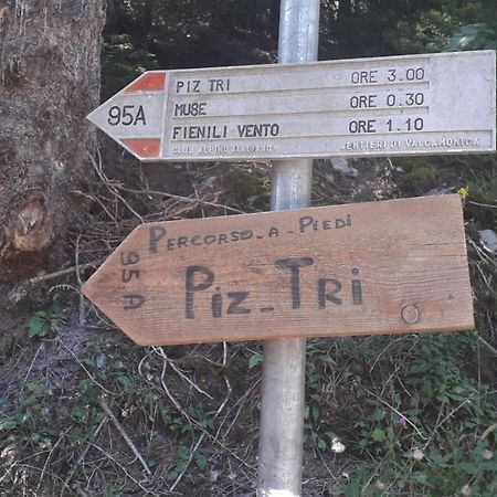 Casa Vacanza Pineta Malonno Экстерьер фото