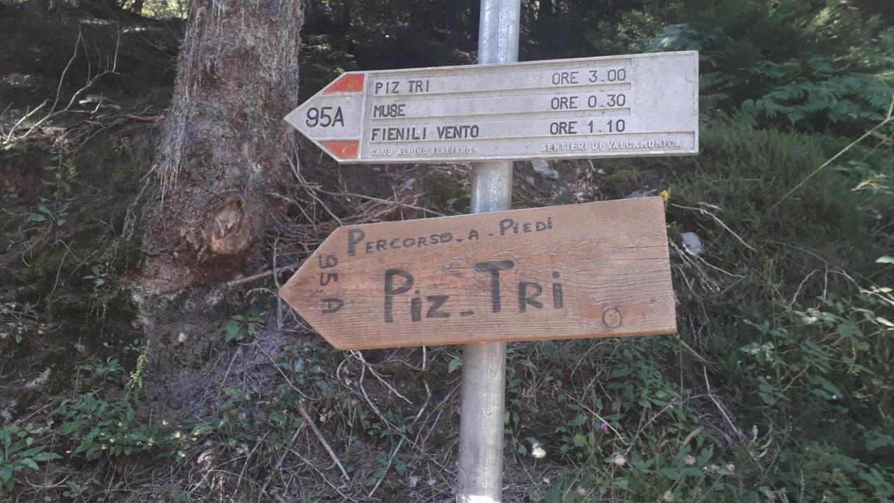 Casa Vacanza Pineta Malonno Экстерьер фото
