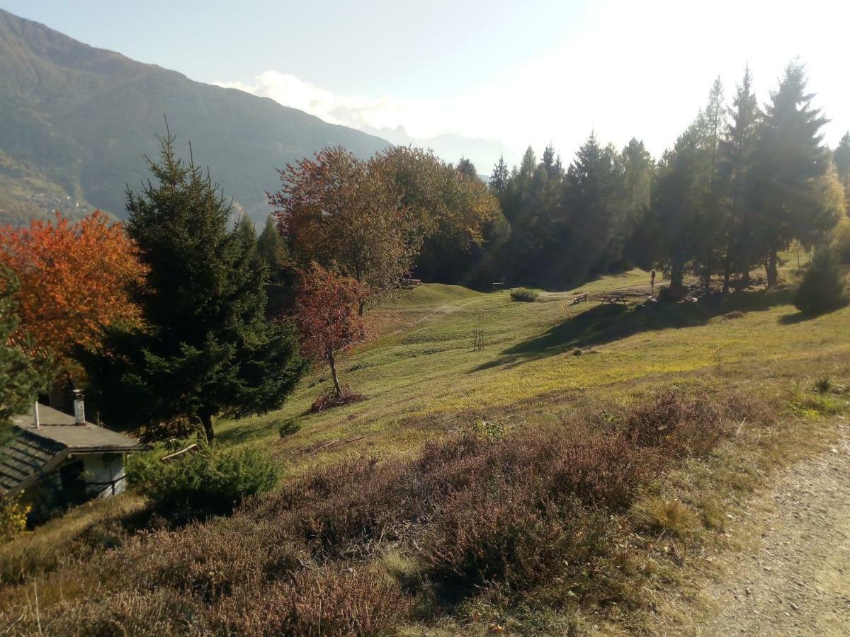 Casa Vacanza Pineta Malonno Экстерьер фото